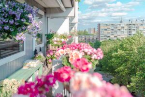 Piante sul balcone