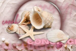 Conchiglie su fondo di salvia con scritte
