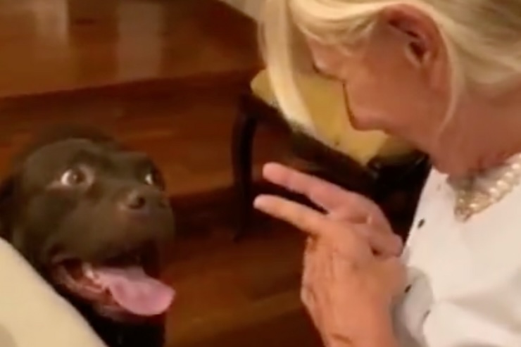Gemma Galgani e cane