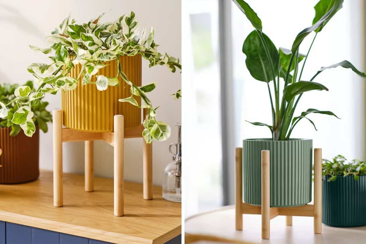piedistallo bambù DAKSJUS di IKEA