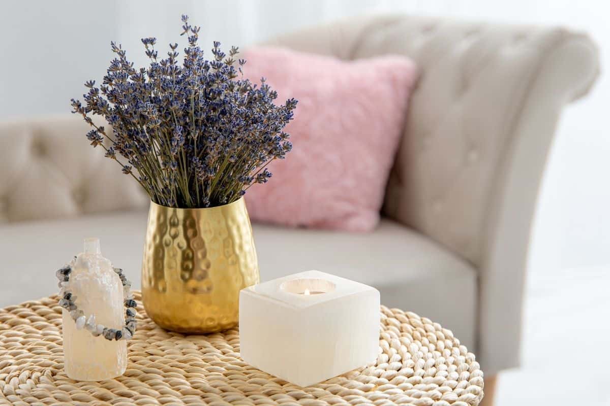 vaso di lavanda in salatto