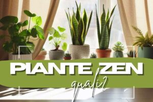 piante in vaso e scritte in primo piano