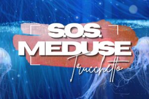 Meduse in mare