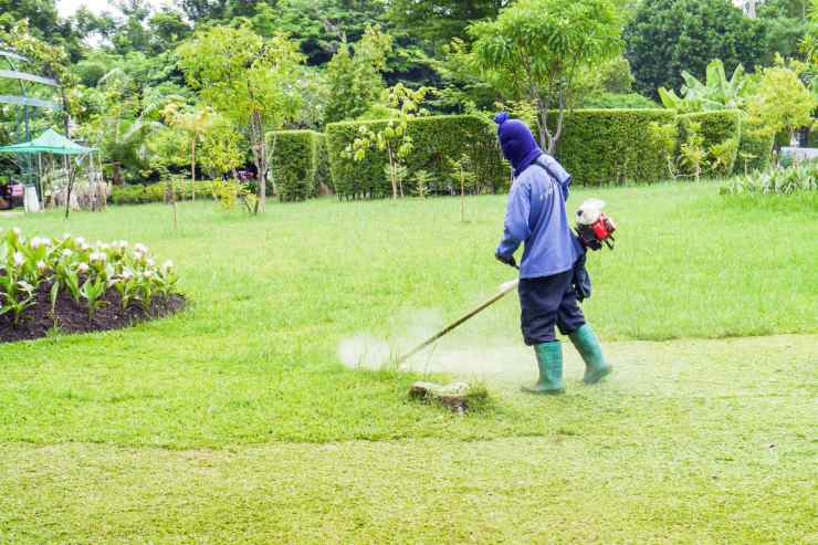 un uomo che sta tagliando l'erba del giardino con un tagliaerba telescopico