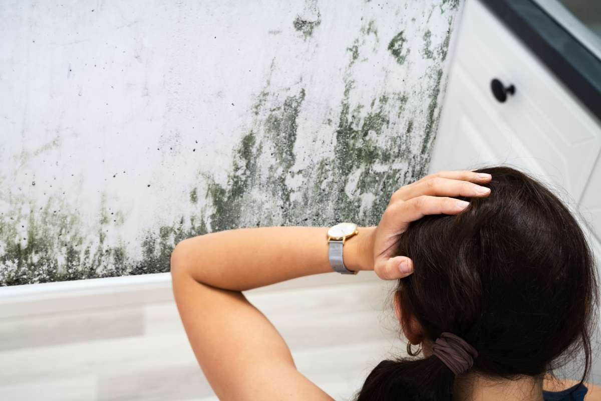 Persona si mette le mani tra i capelli guardando la muffa