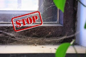 Delle ragnatele in casa sulla mensola della finestra e a sinistra una scritta "Stop"