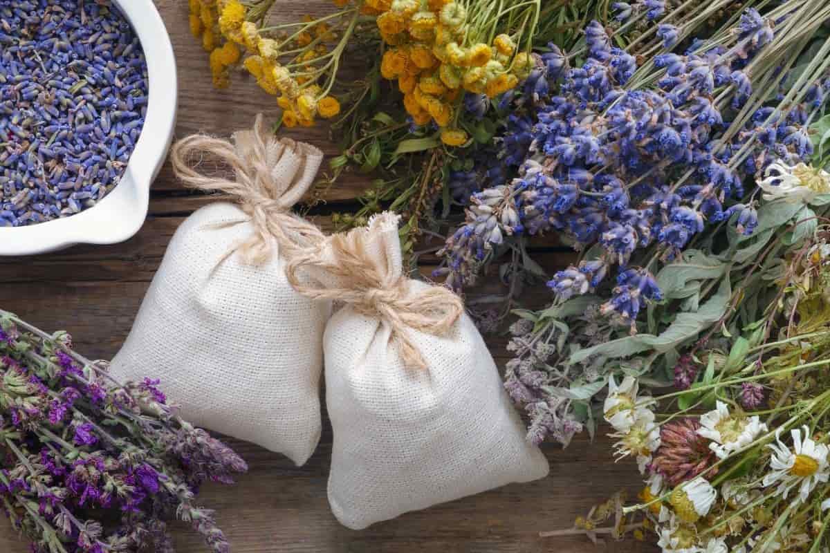 Sacchetti di erbe aromatiche