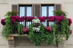 Fiori nel balcone e alla ringhiera