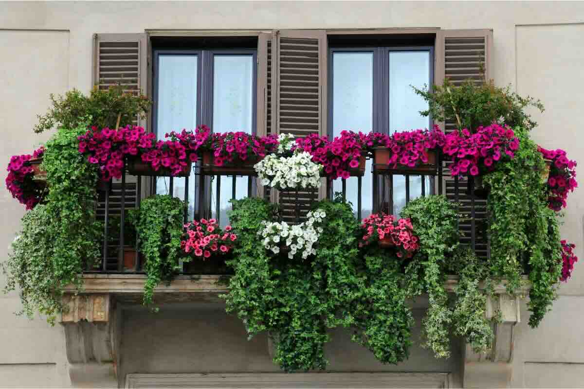 Fiori nel balcone e alla ringhiera