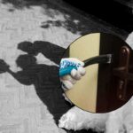 collage sposi e furto in corso