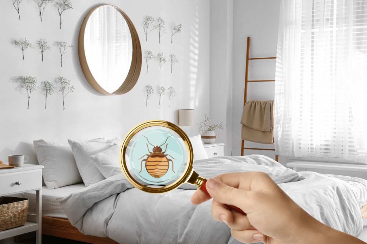 camera da letto in disordine e lente di ingrandimento su cimice