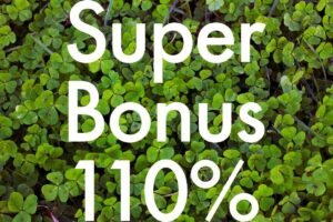 scritta superbonus 110%