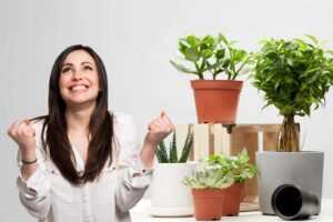 delle piante da interno ed accanto una donna felice che esulta