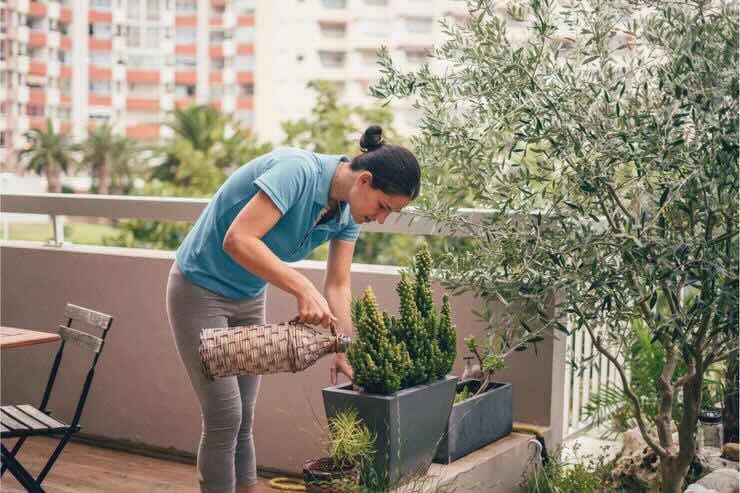 Innaffiare piante in balcone