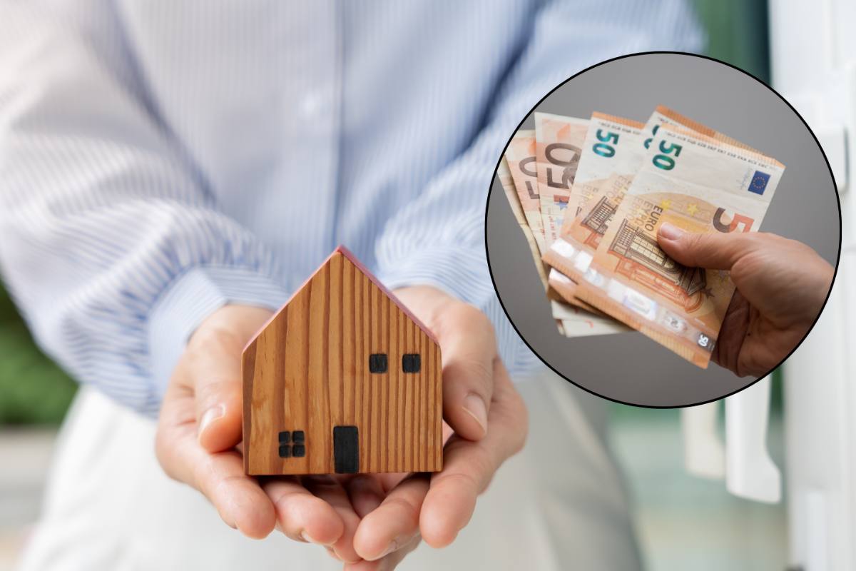 casa in miniatura e banconote