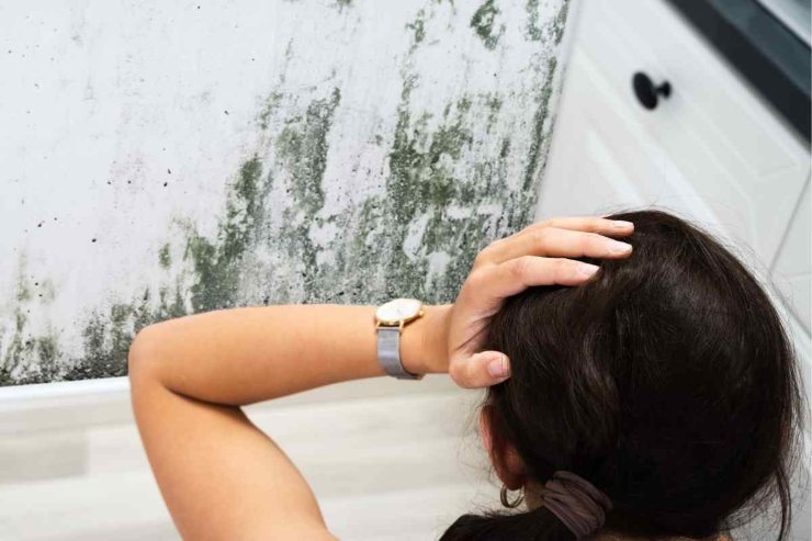donna con muro di muffa e mano nei capelli