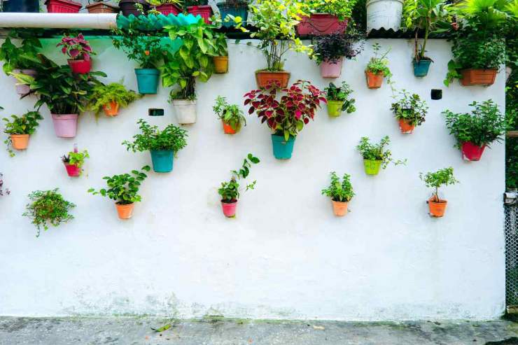 Muro alto