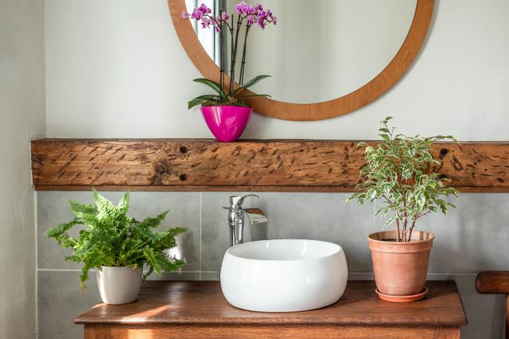 Un lavandino ed uno specchio con delle piantine