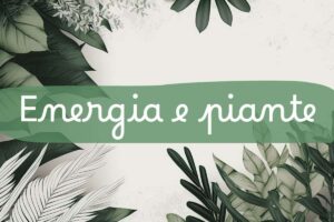 piante e scritta in primo piano