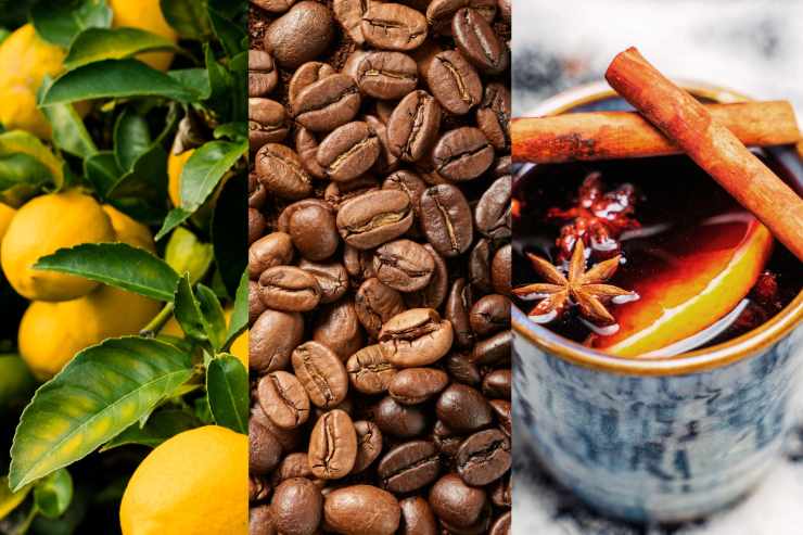 Una foto a sinistra di una pianta di limone, al centro il caffè e sulla destra la cannella