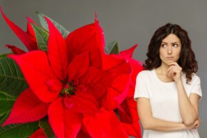 una stella di natale sulla sinistra ed una donna sulla destra che è indecisa