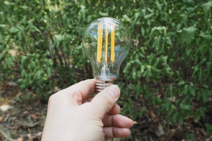 Lampadina in mano