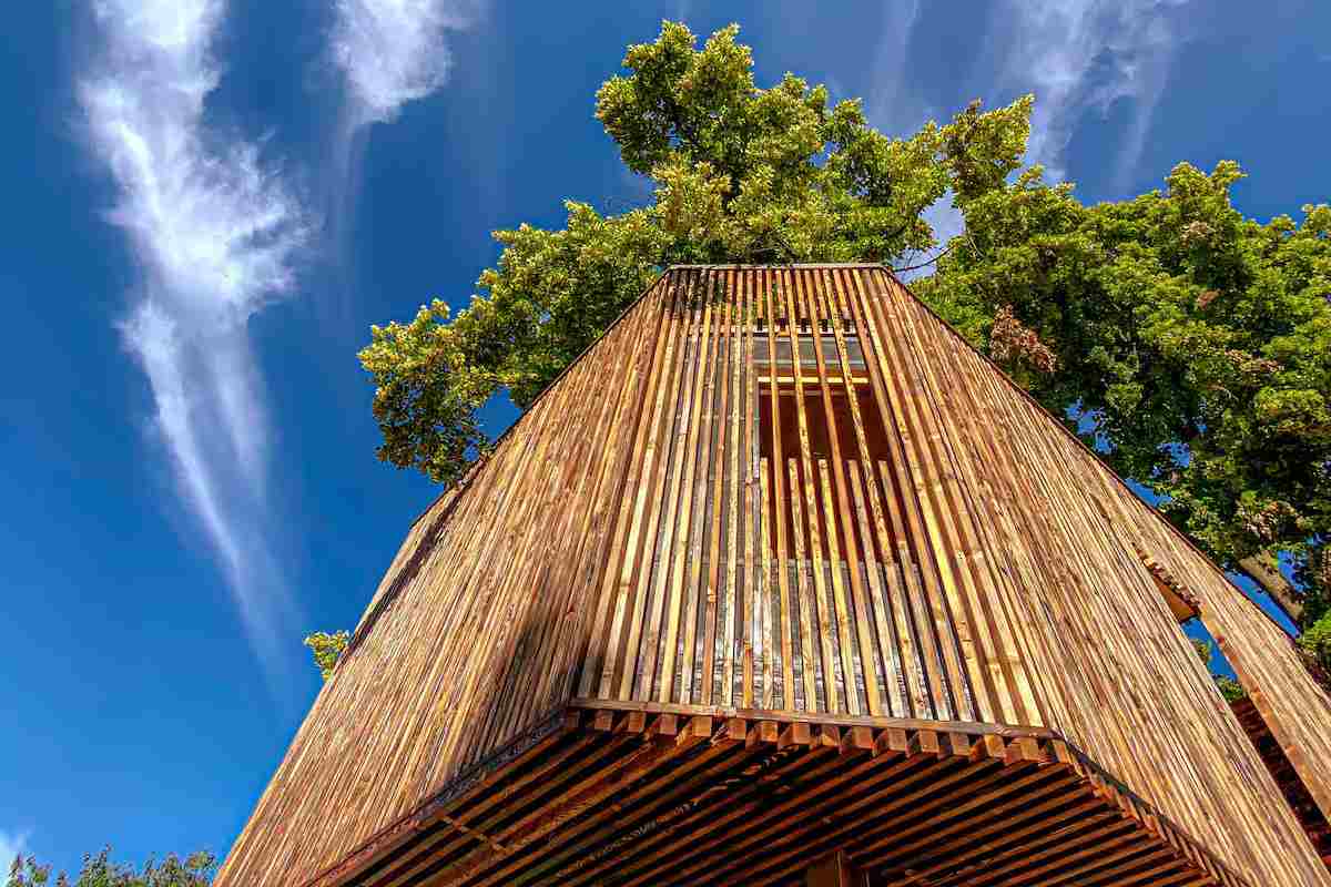 Casa sull'albero a Salionze vista dal basso