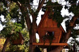 una casa di legno su un grande albero
