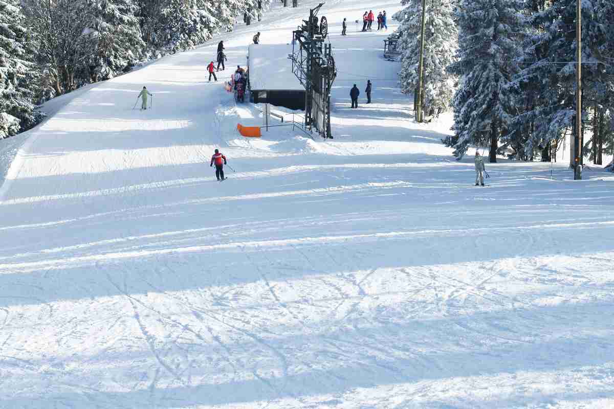 una pista da sci nei boschi dove andare in settimana bianca quest'anno