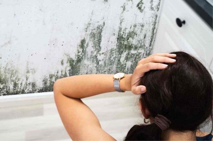 muffa e donna disperata