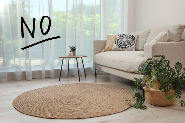 Divano e tappeto piccolo