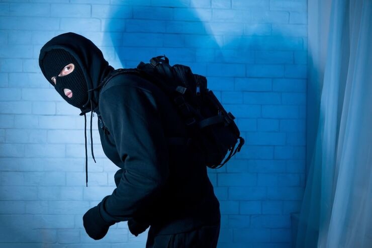 Ladro in azione