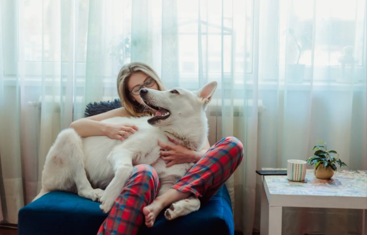 donna sulla poltrona con in braccio il cane
