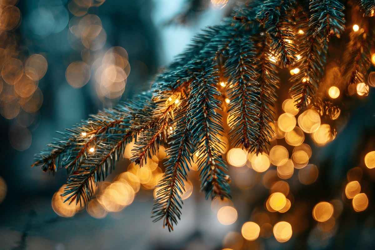 Albero abete con luci natalizie