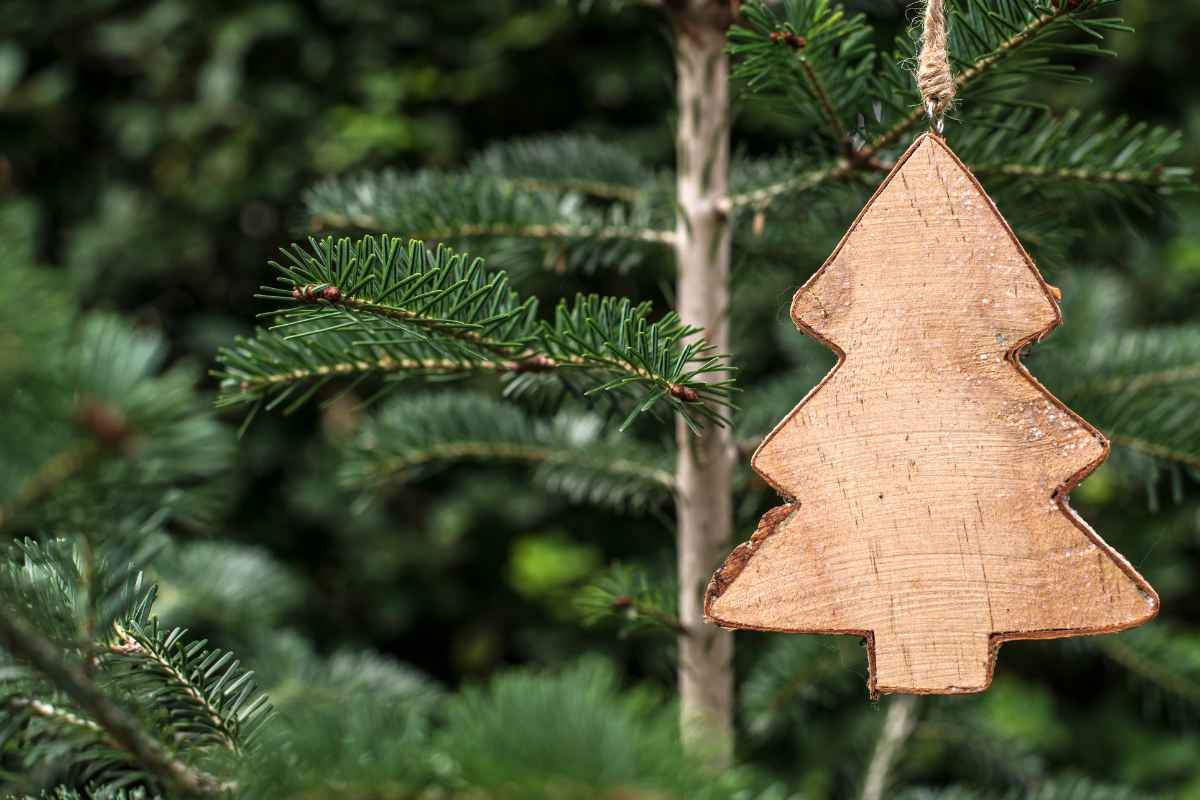 Primo piano albero di natale vero con decorazione in legno