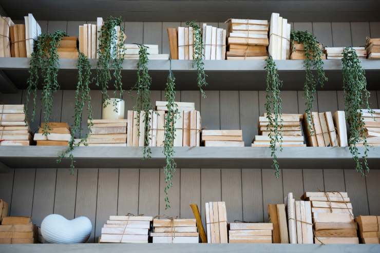 Una libreria a parete con sopra libri ed altri sopramobili 