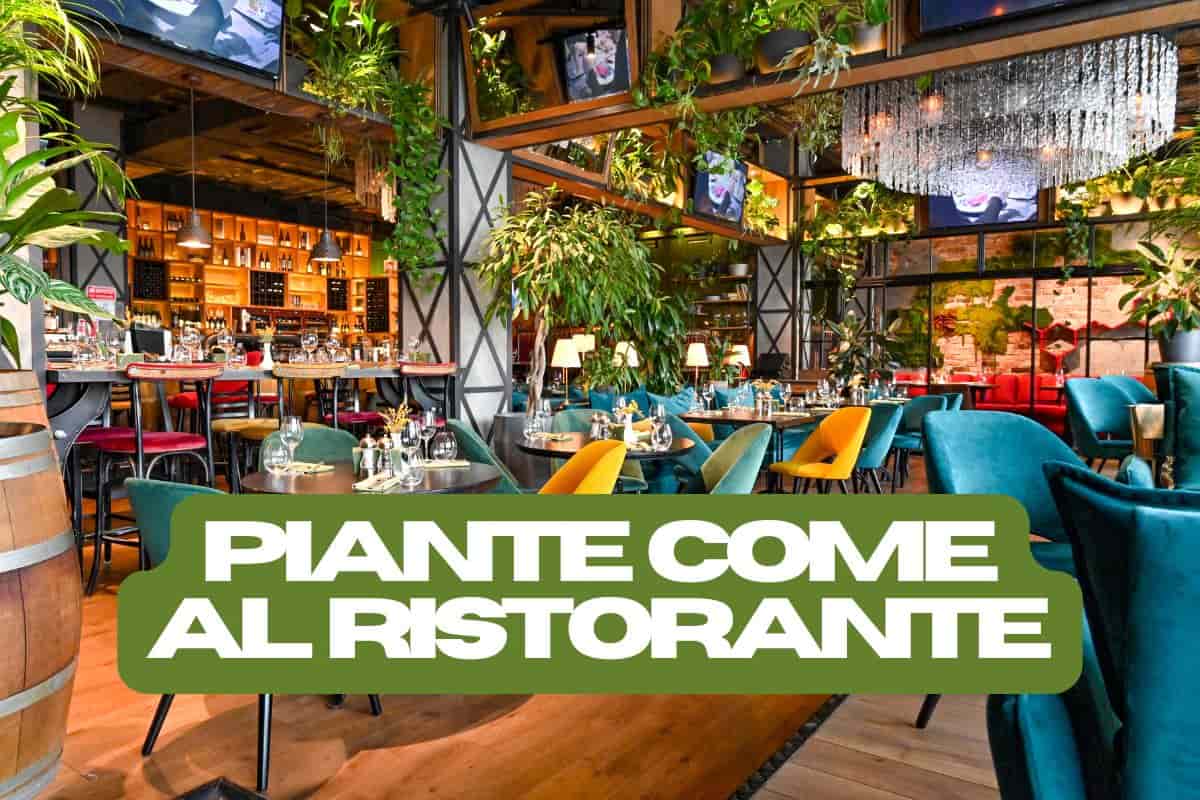 Ristorante con piante