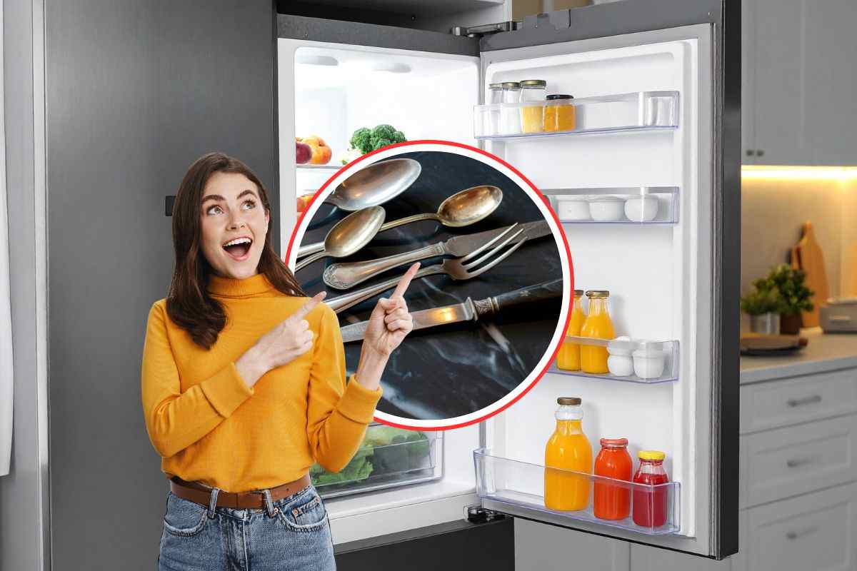 come sfondo un frigorifero aperto, in primo piano una donna stupita che indica delle posate ossidate