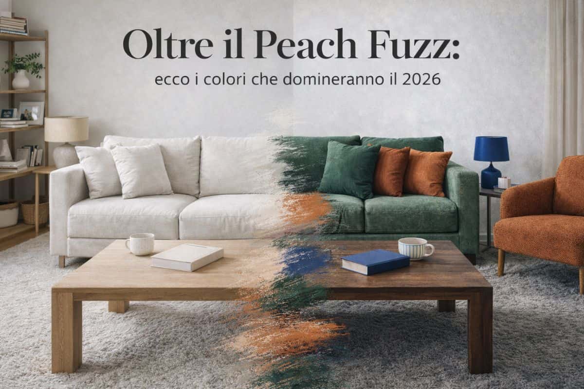 soggiorno contemporaneo, diviso visivamente in due parti da colori neutri a colore verde, blu e terracotta