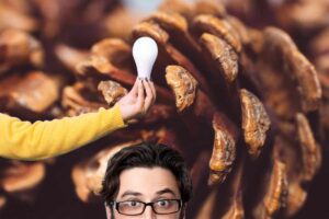 pigne sullo sfondo, uomo ch si vede dal naso in su e mano con lampadina