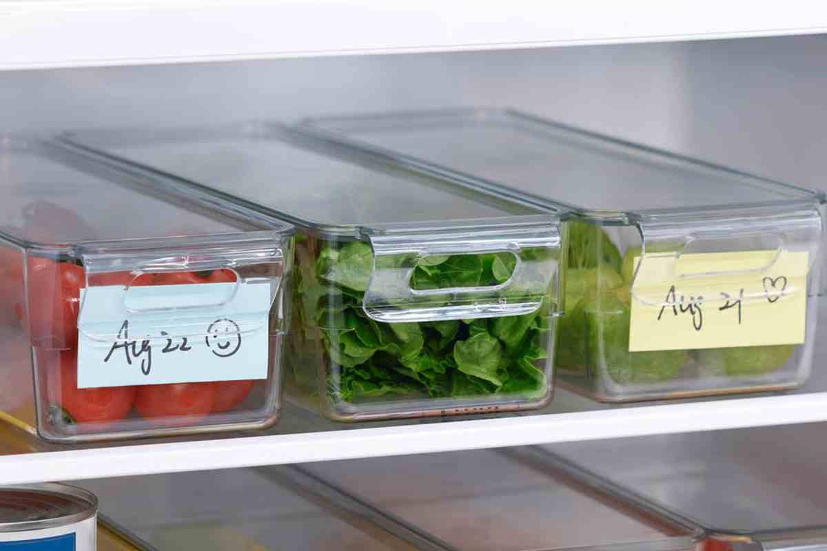 Accessorio per frigorifero KLIPPKAKTUS Ikea con cibi ed etichette