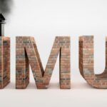 Una scritta IMU fatta con mattoni ed un caminetto sulla lettera "I"