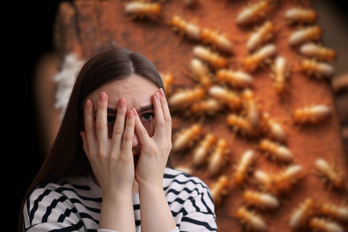 sfondo di piccoli tarli che rosicchiano il legno e donna spaventata in primo piano