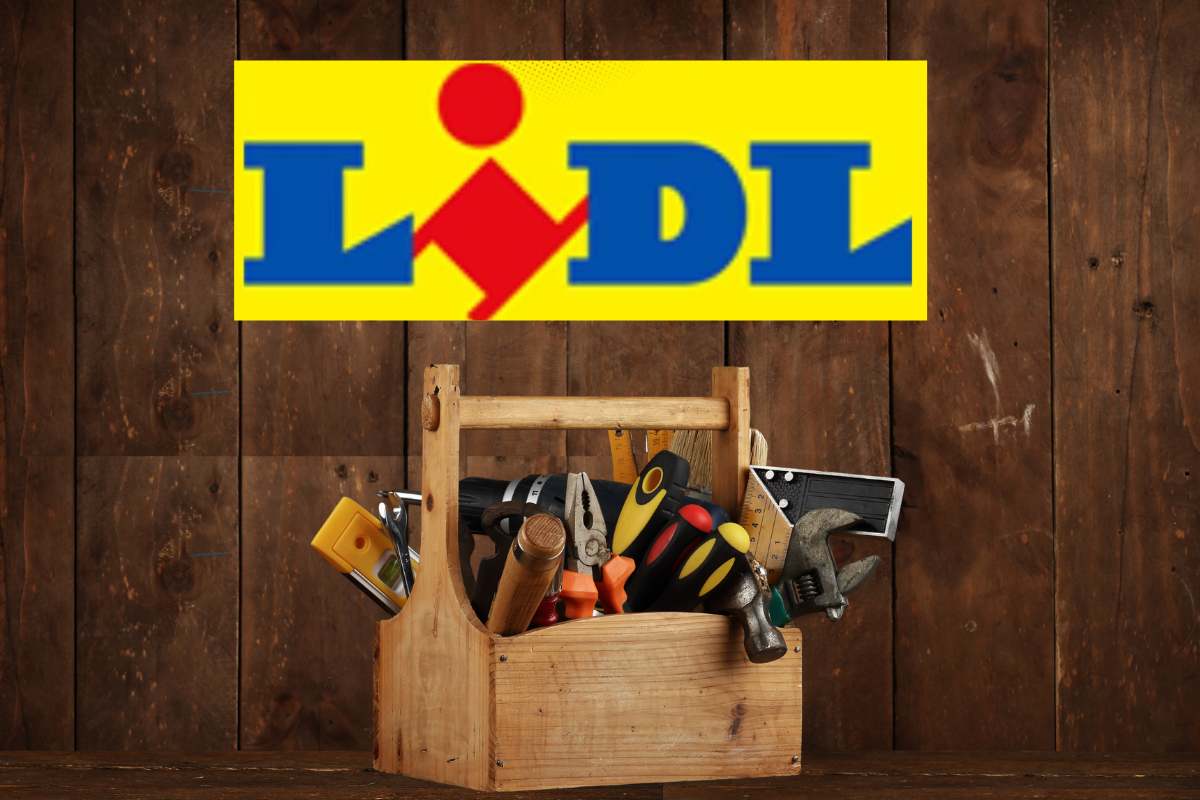 Una cassetta degli attrezzi con sopra l'insegna della Lild