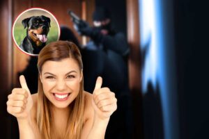 ladri che entrano in casa, rottweiller in icona rossa e donna sorridente che fa ok con le mani