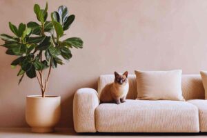 parte di un salotto beige con divano beige con sopra un gatto siamese ed affianco un vaso biege con una pianta alta e pareti neutre