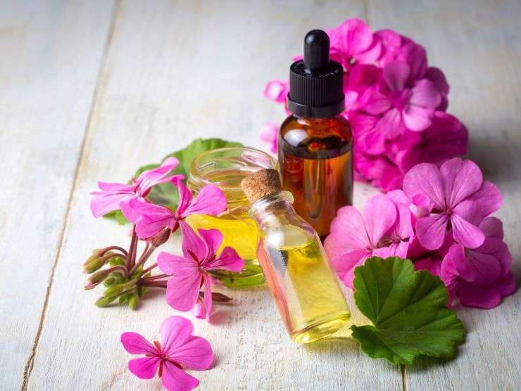 fiorellini di gerani con olio essenziale