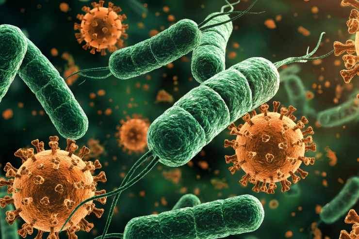 Una foto di vari batteri 