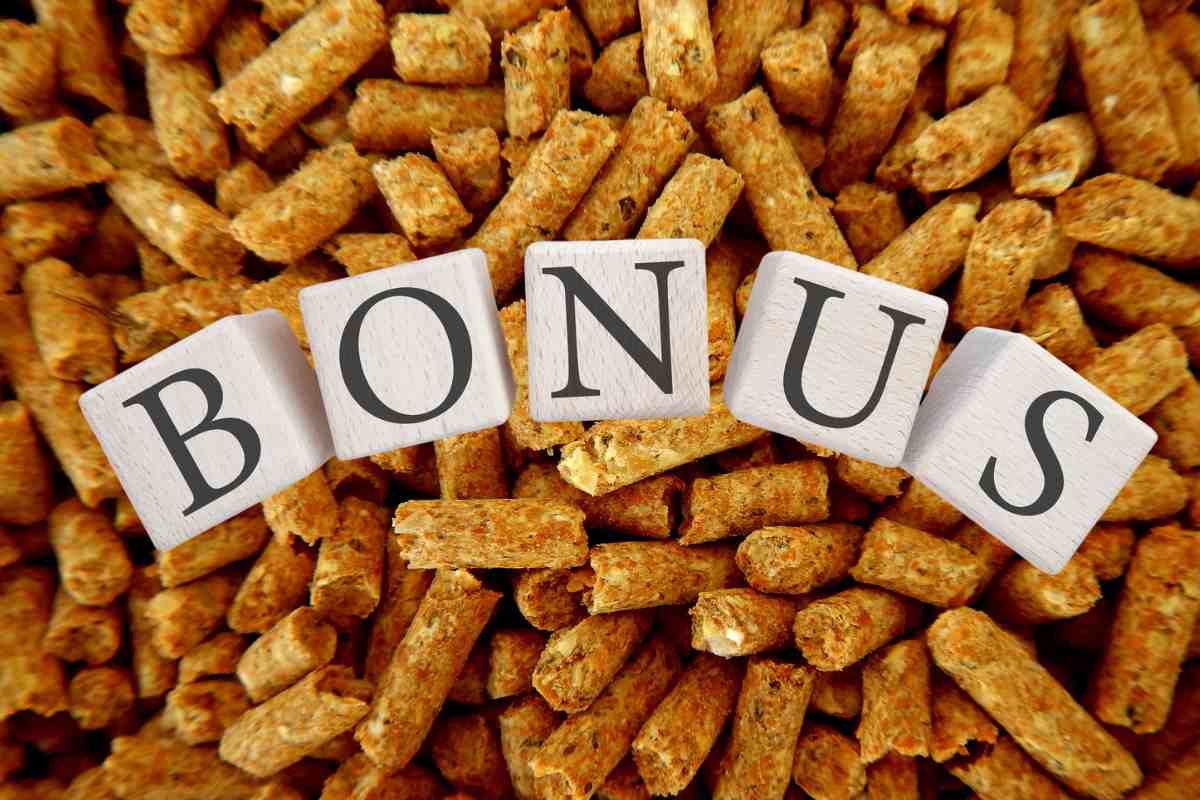 Uno sfondo di pellet ed in primo piano dei dadi che compongono la scritta "Bonus"