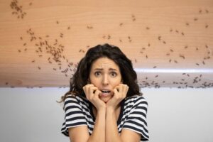 Delle formiche su un mobile di casa ed una donna spaventata in primo piano